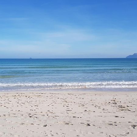 Ideal Property Mallorca - Marvi Alcudia  Dış mekan fotoğraf