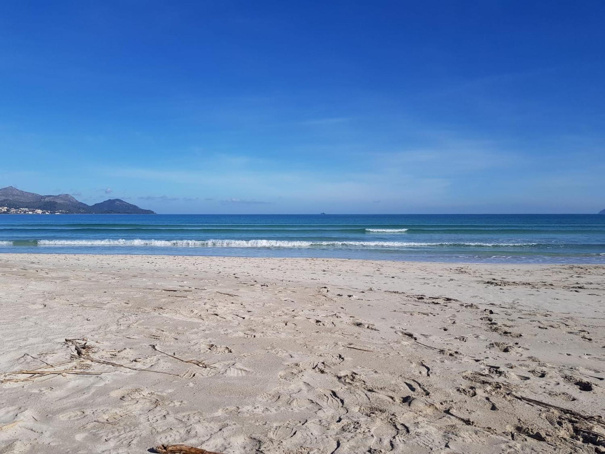 Ideal Property Mallorca - Marvi Alcudia  Dış mekan fotoğraf